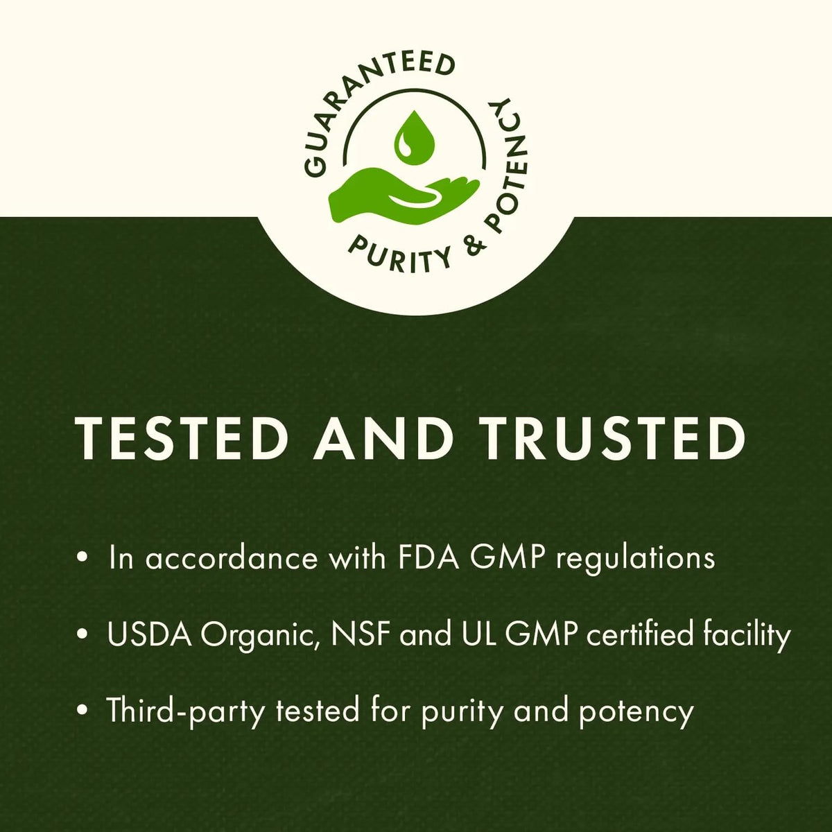 Garlic Oil 1500 mg 500 Softgels R133