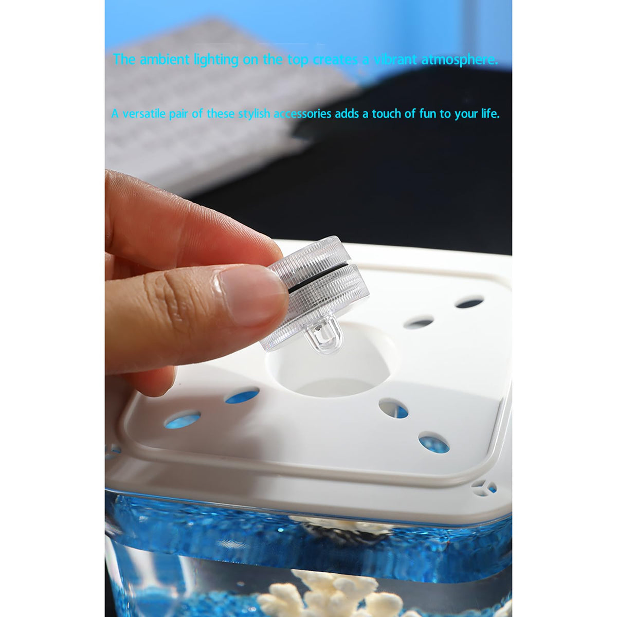 Micro Cube Fish Tank Starter Kit with LED Lighting S89157