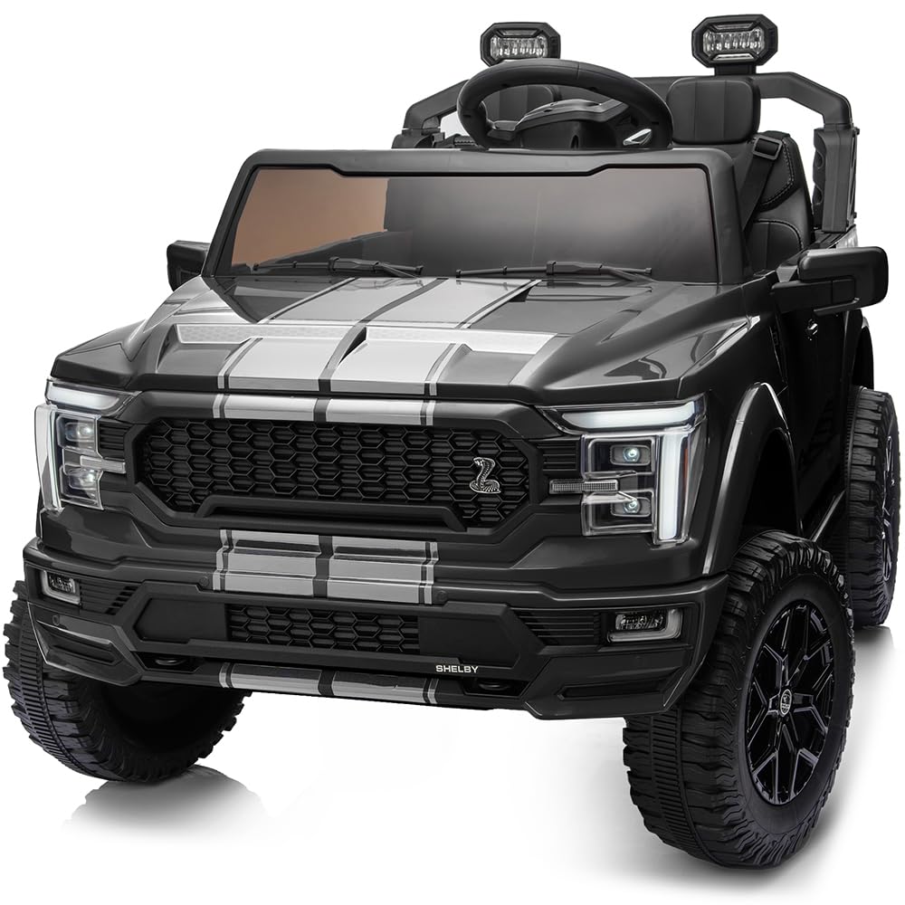 24V 2-Seater Ride on Toy Car J59908