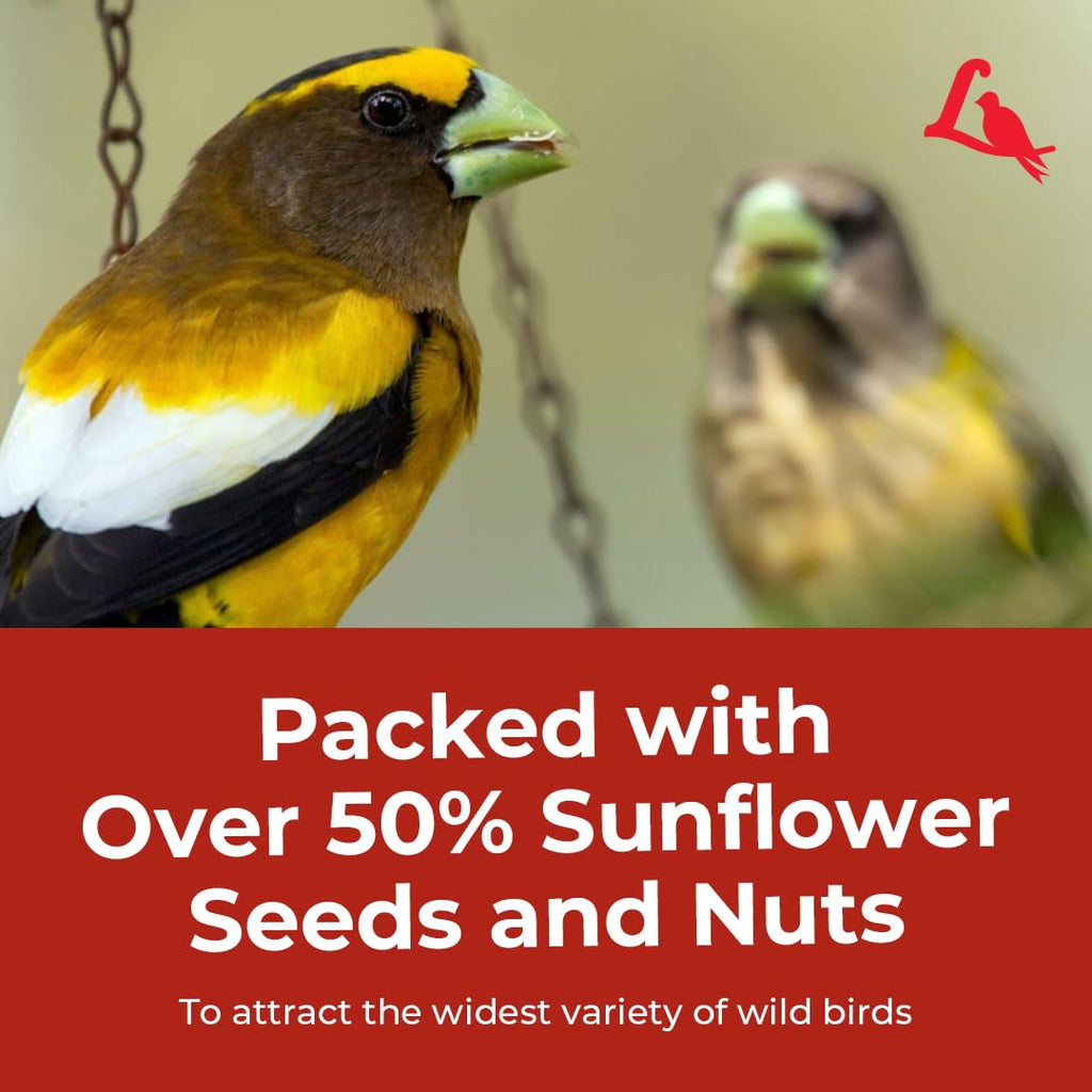 Wild Bird Seed 20 lb. Bag B969585