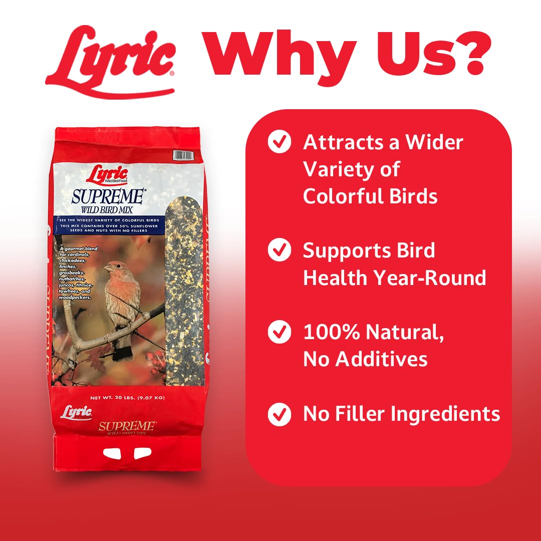 Wild Bird Seed 20 lb. Bag B969585