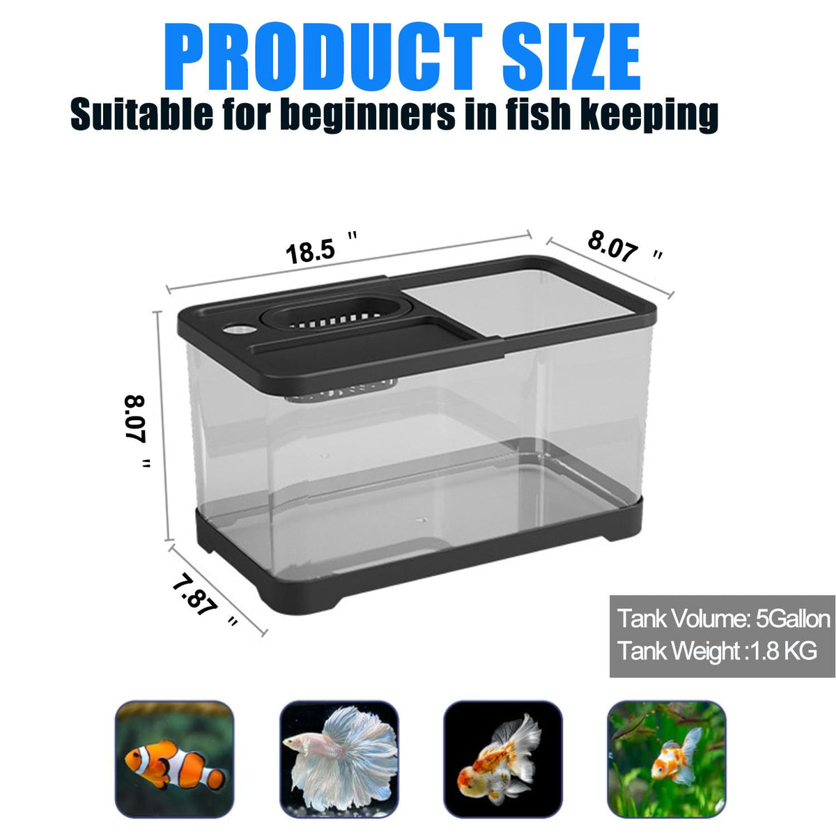 5 Gallon Plastic Fish Tank with Filter and Lid R1616