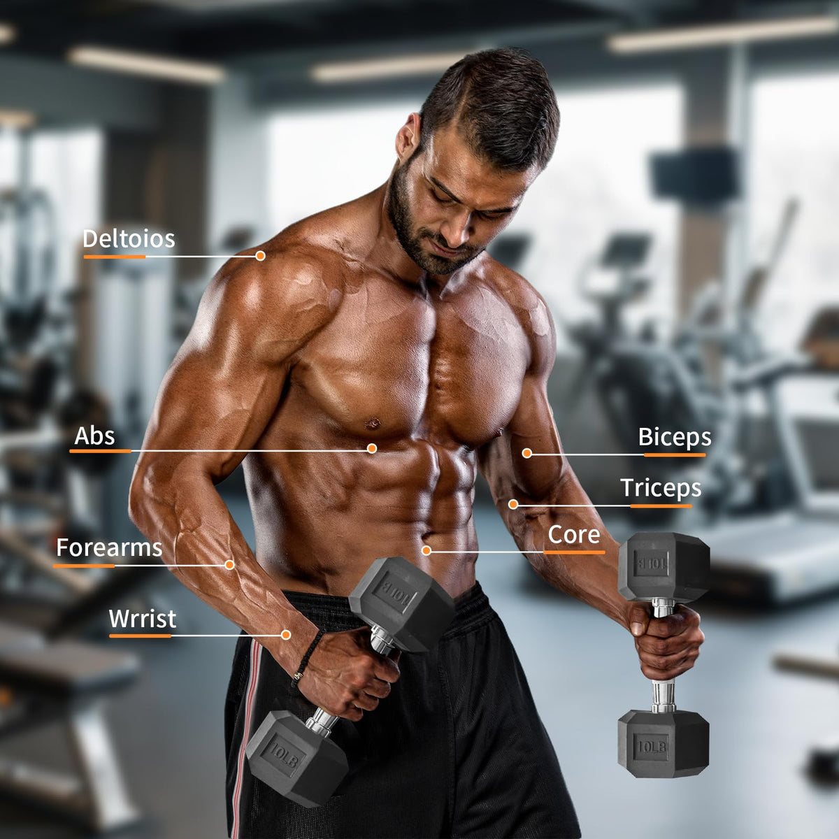 15 lb-550 lb Rubber Hex Dumbbell Set Q520273