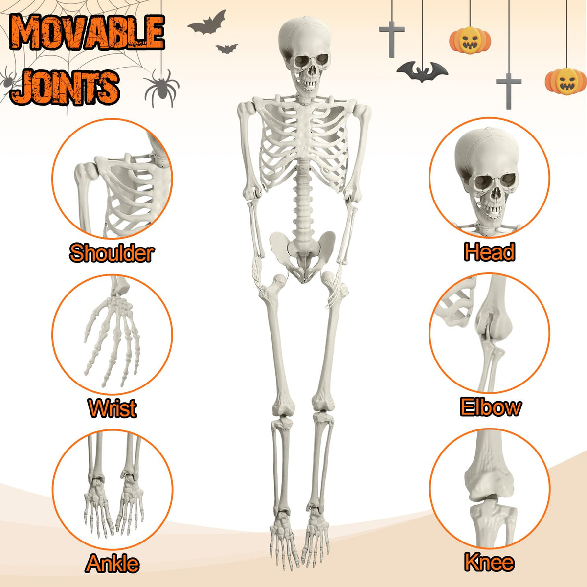 5.4FT Posable Life Size Skeleton V55266