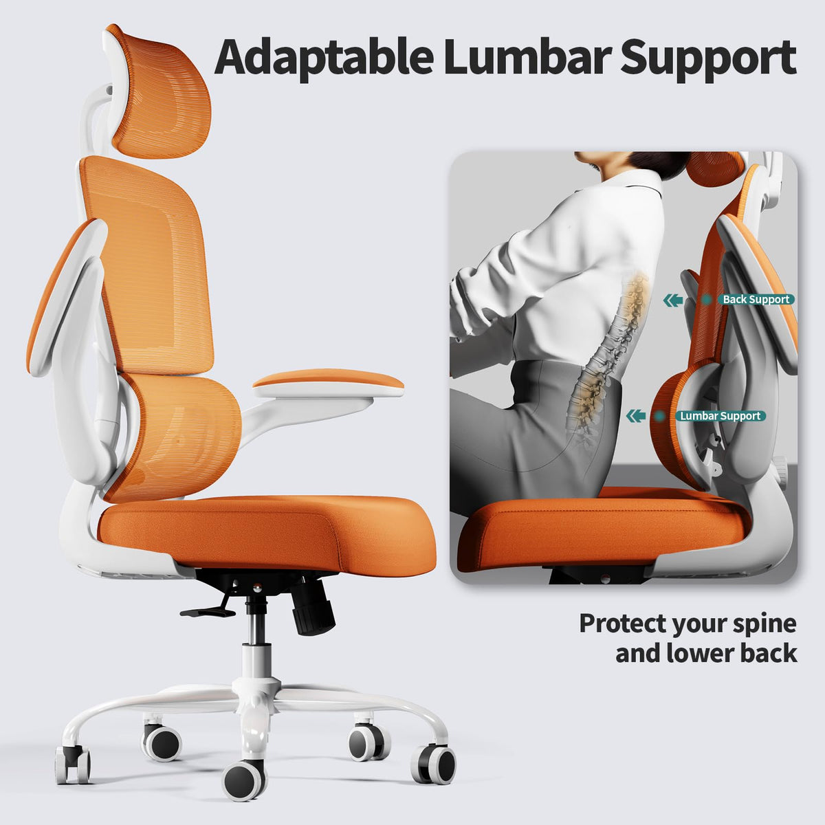 Ergonomic Office Chair with Lumbar Support D924087