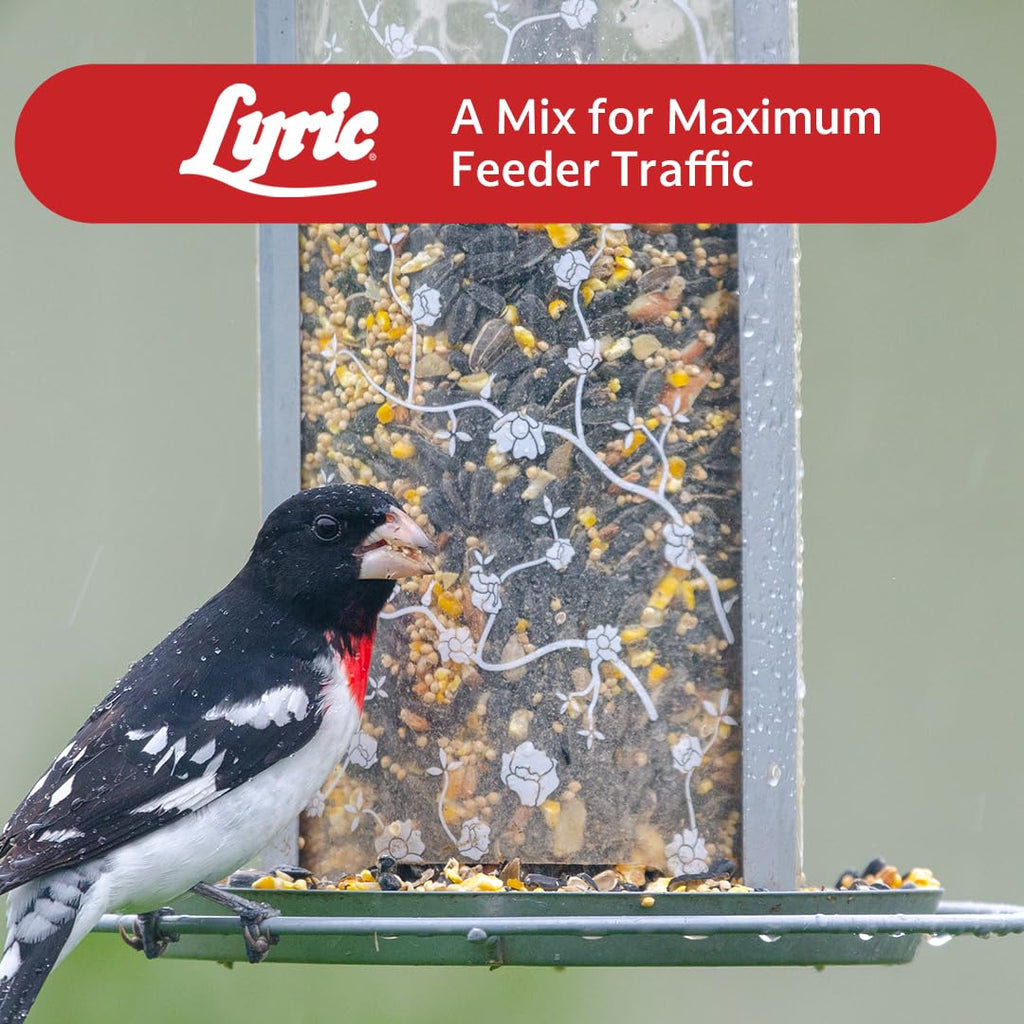 Wild Bird Seed 20 lb. Bag B969585