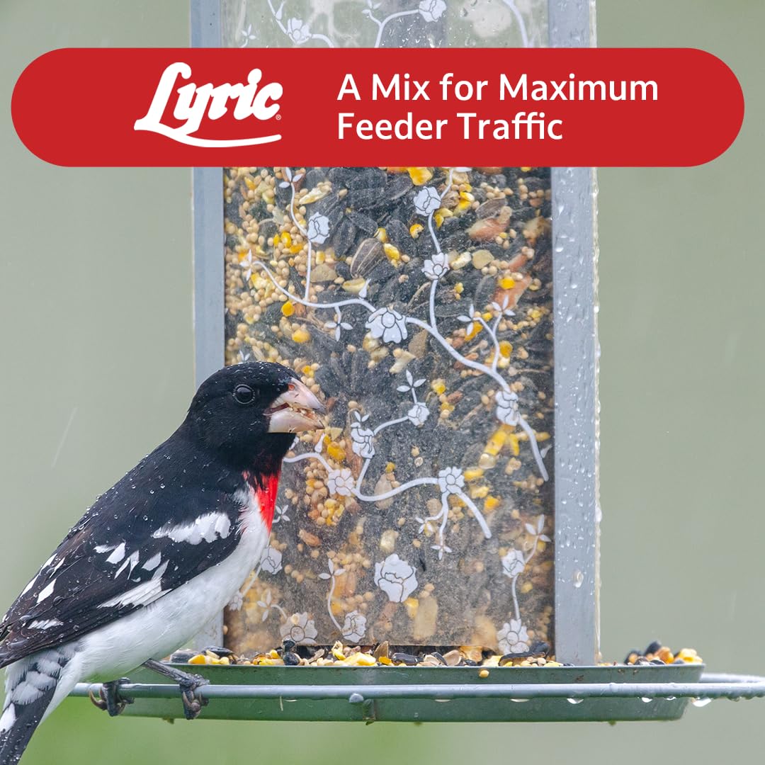 Wild Bird Seed 20 lb. Bag B969585