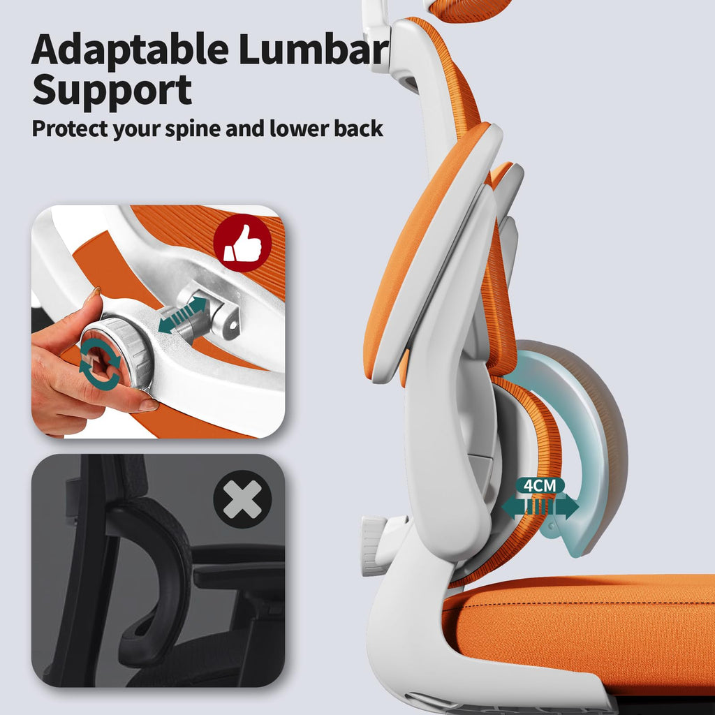 Ergonomic Office Chair with Lumbar Support D924087