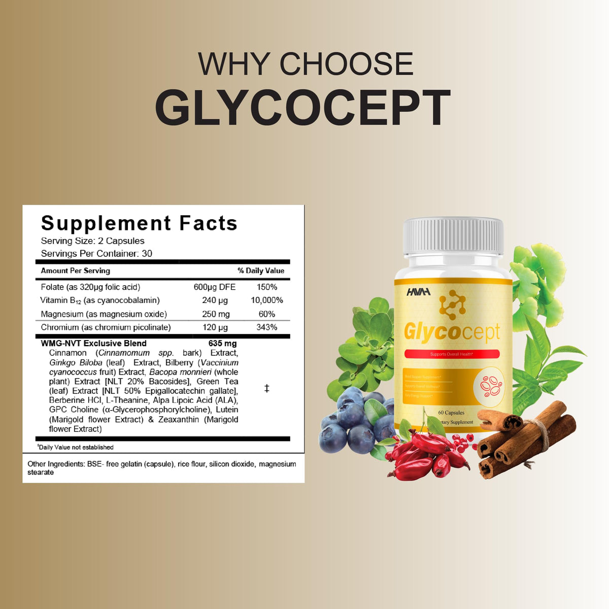 5 Pack 300 Capsules Blood Support U36136
