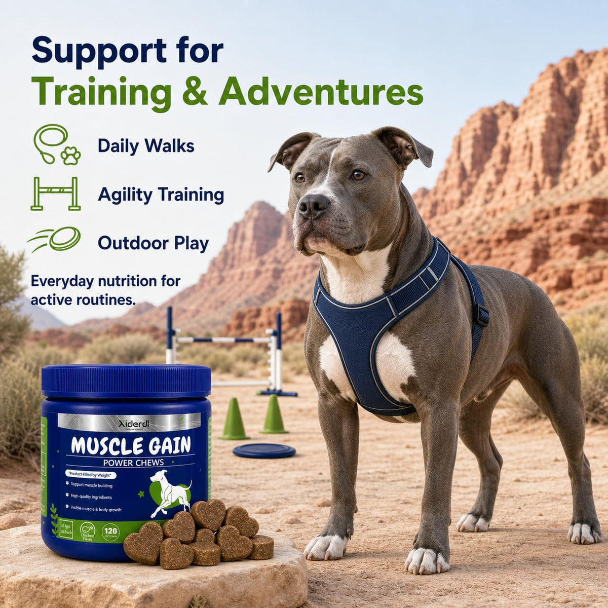 High Protein Muscle Support Soft Chews for Dogs, 120 Count H321185