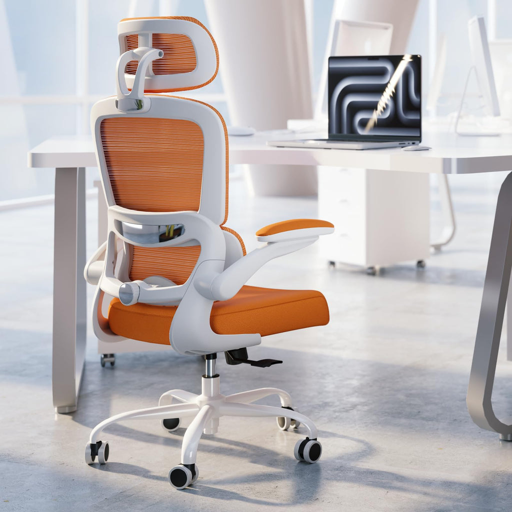 Ergonomic Office Chair with Lumbar Support D924087
