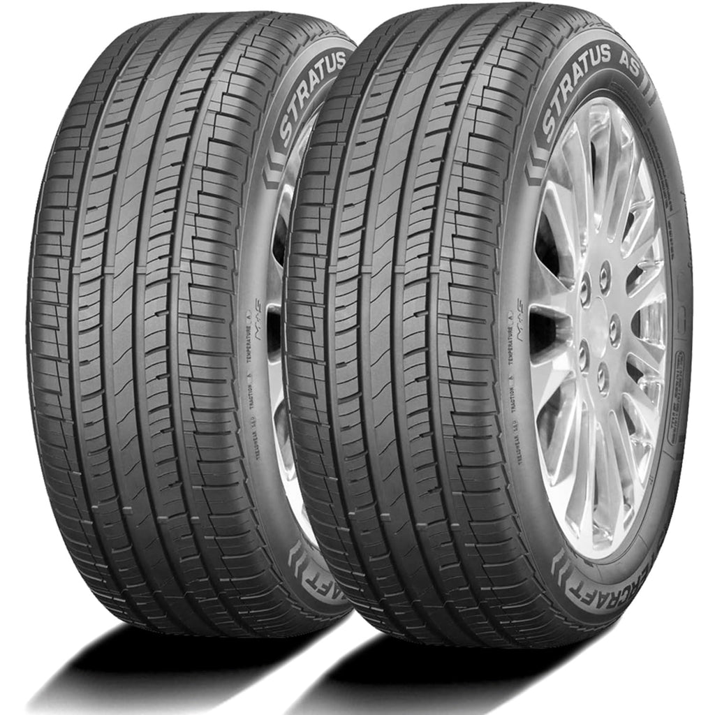 225/60R17 99H All Season Performance Tire P342