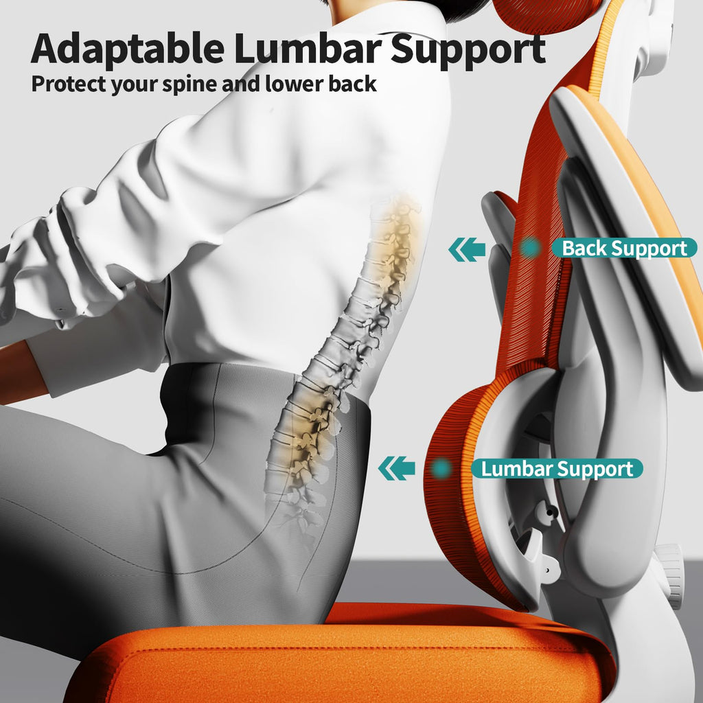 Ergonomic Office Chair with Lumbar Support D924087
