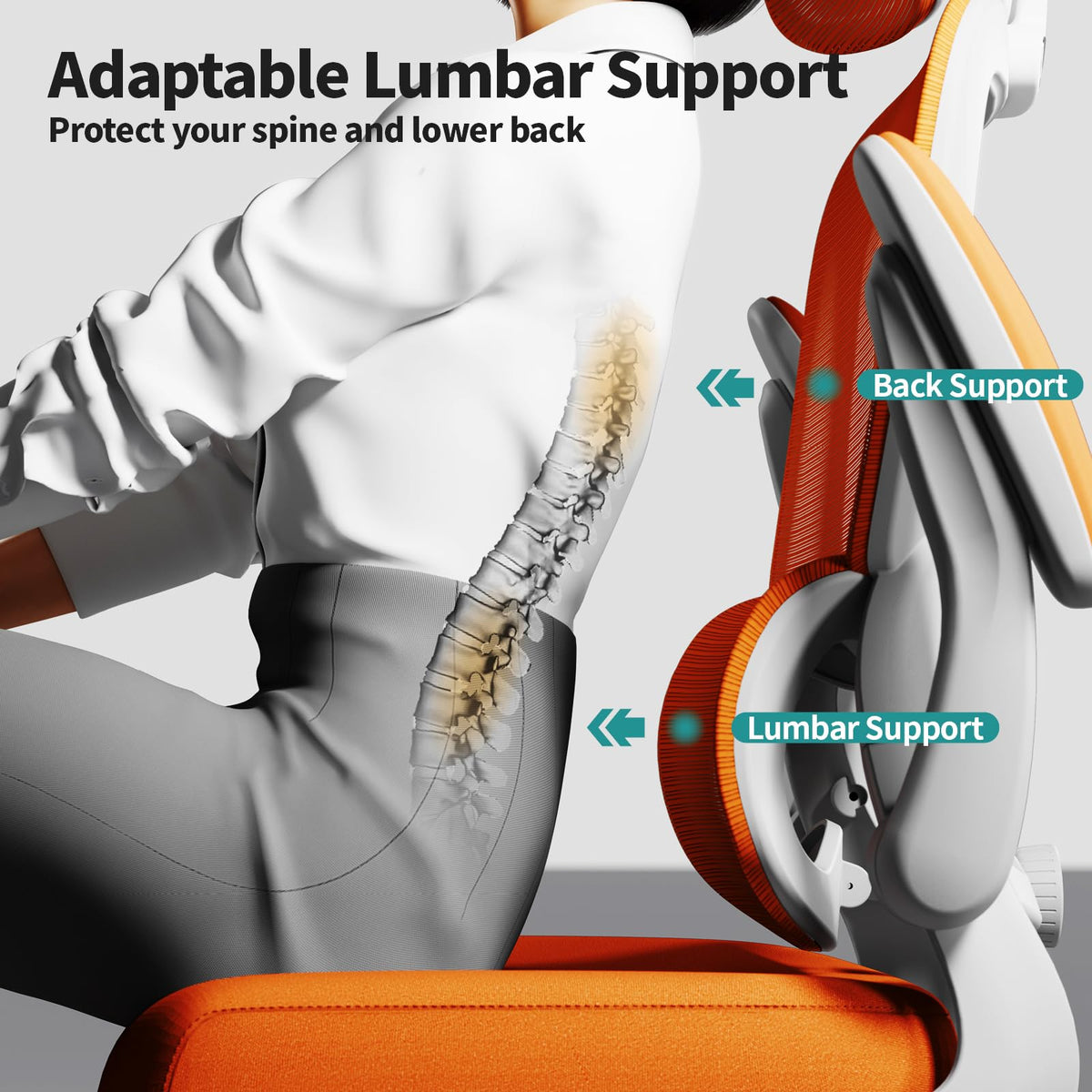 Ergonomic Office Chair with Lumbar Support D924087