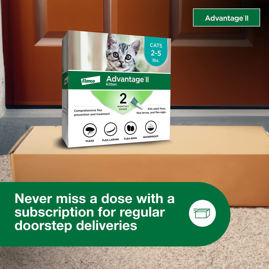 Topical Flea Treatment & Prevention 2ct O376184