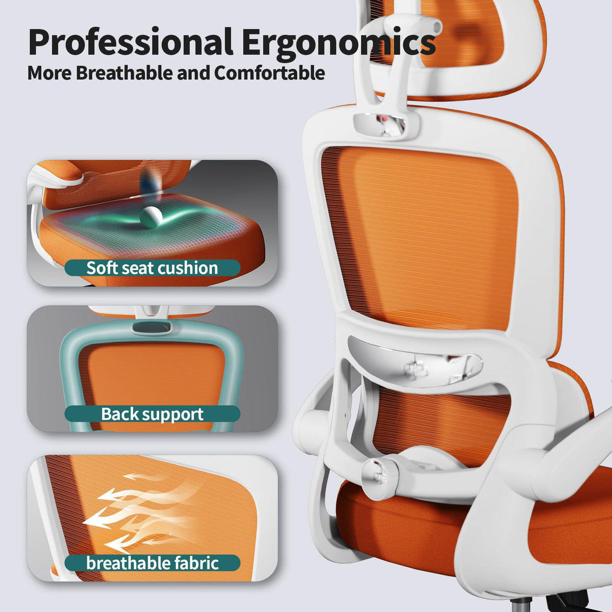 Ergonomic Office Chair with Lumbar Support D924087
