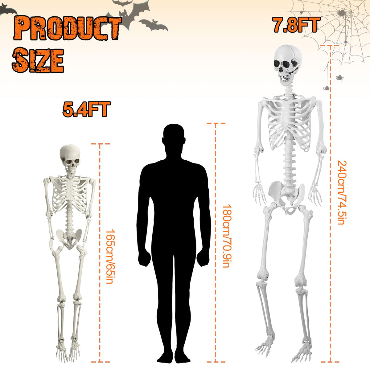 5.4FT Posable Life Size Skeleton V55266