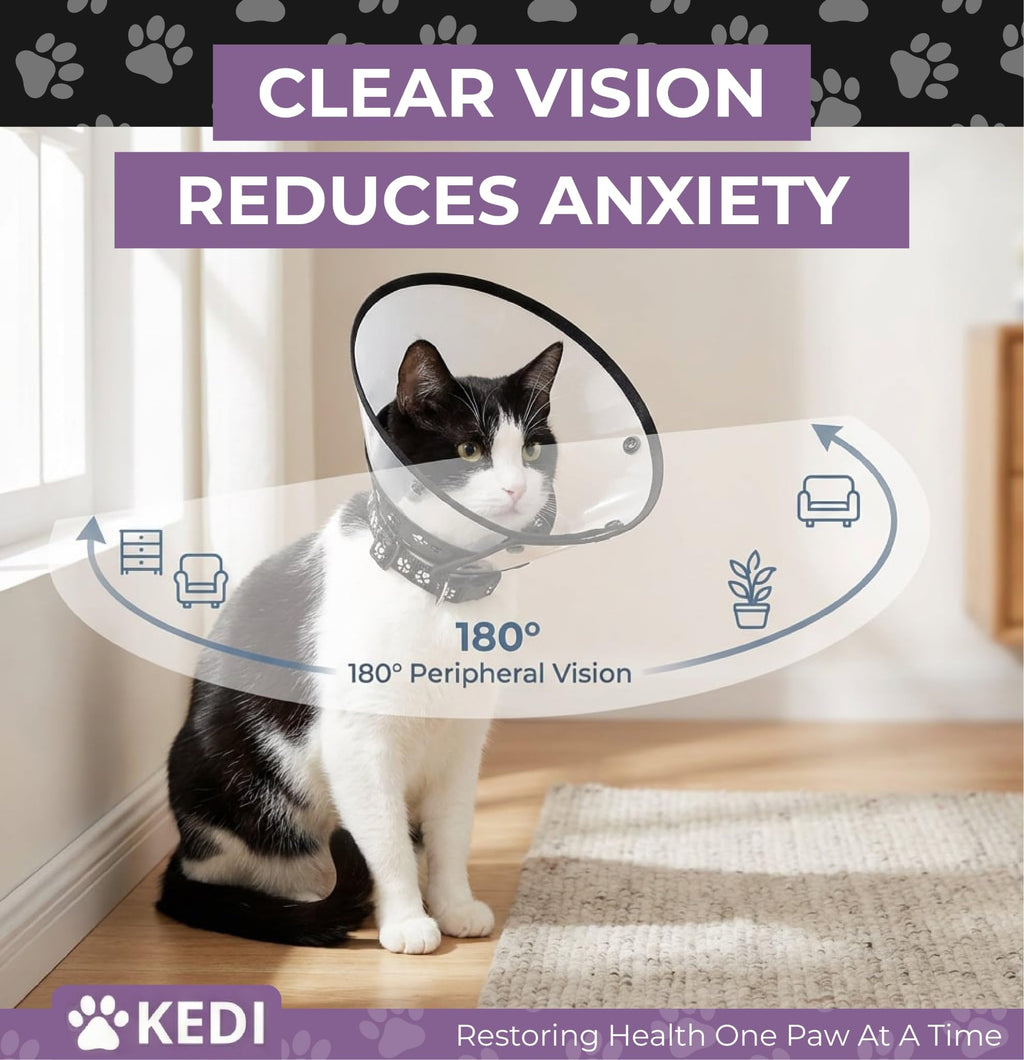 Black Medium Cat Cone Collar E124964