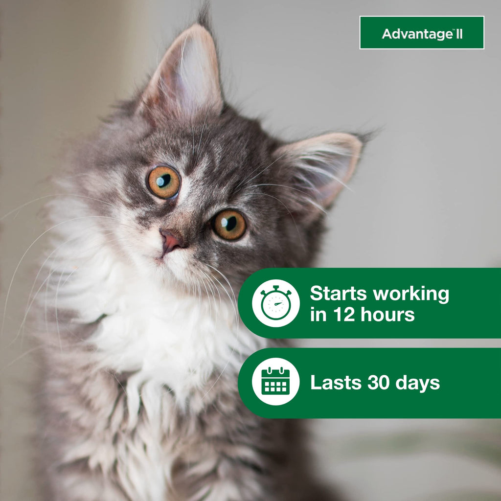 Topical Flea Treatment & Prevention 2ct O376184