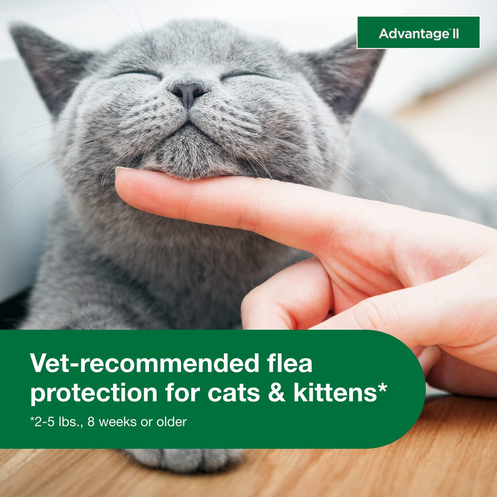 Topical Flea Treatment & Prevention 2ct O376184