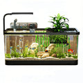 5 Gallon Plastic Fish Tank with Filter and Lid R1616