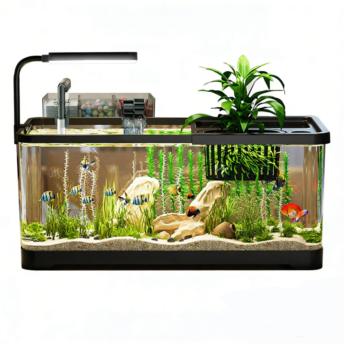 5 Gallon Plastic Fish Tank with Filter and Lid R1616