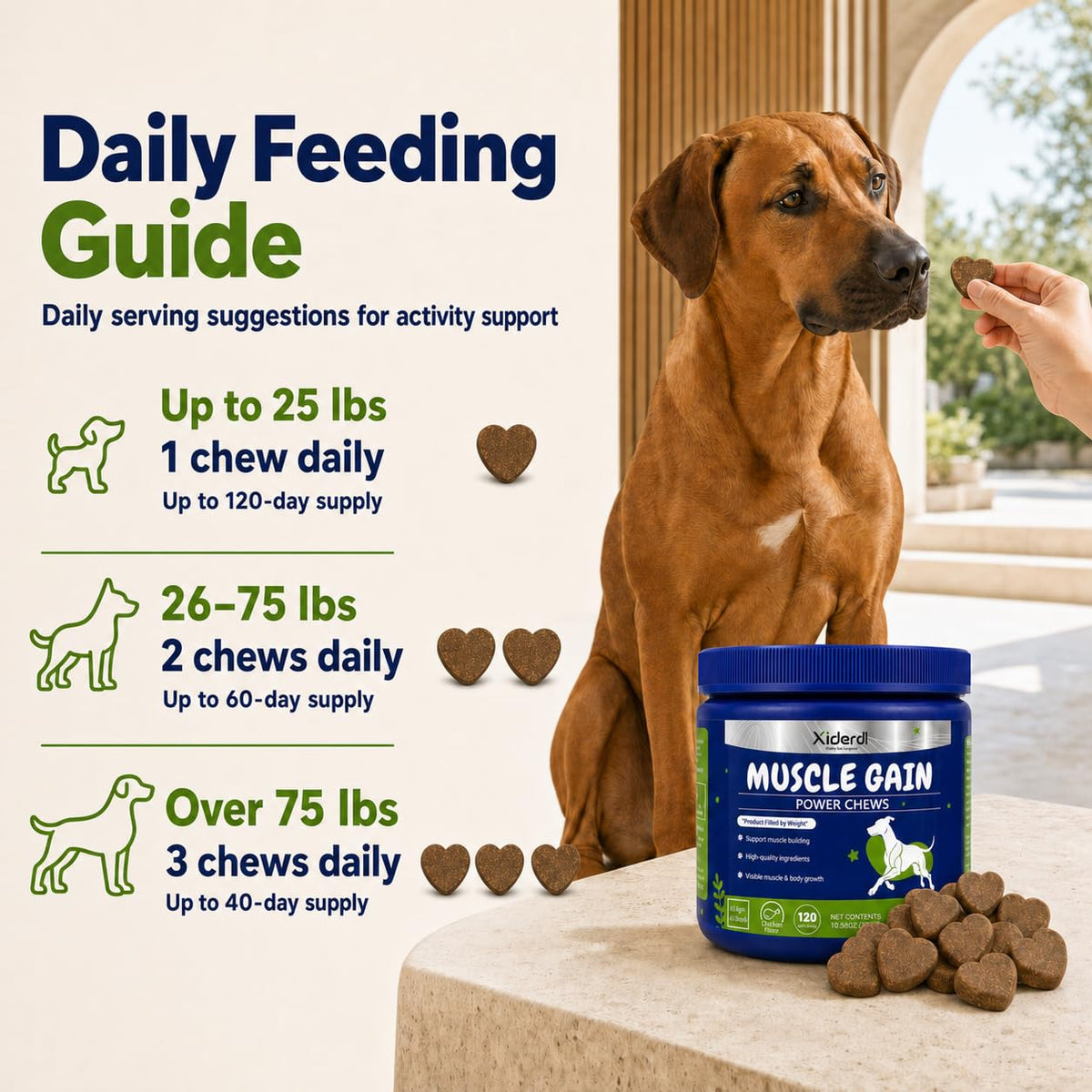 High Protein Muscle Support Soft Chews for Dogs, 120 Count H321185
