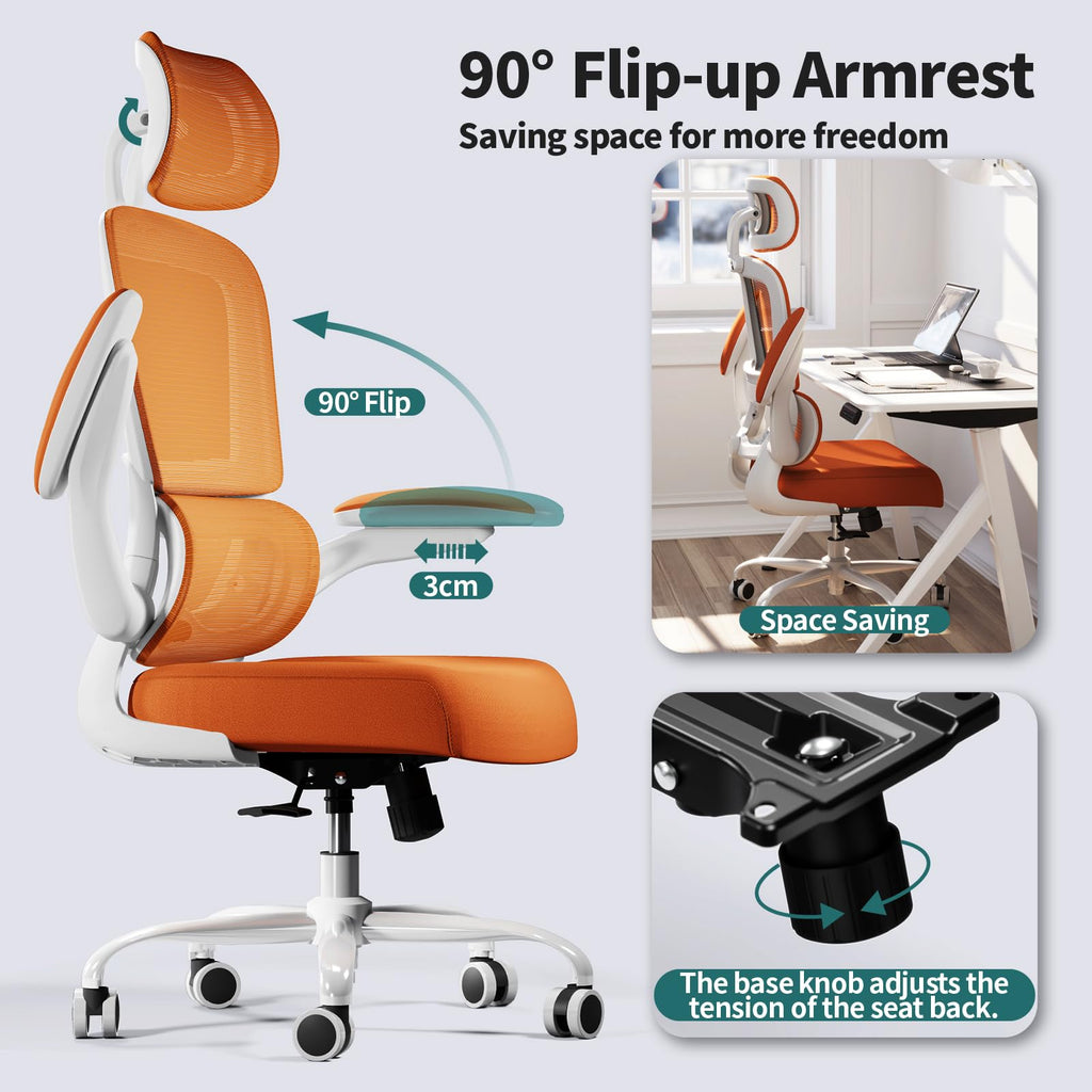 Ergonomic Office Chair with Lumbar Support D924087