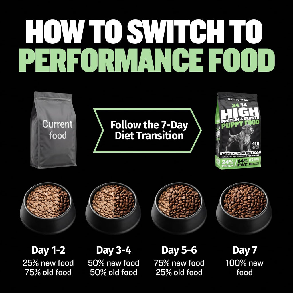 High Protein Lamb and Rice Dry Dog Food for Puppies, 5 lb Bag Q488