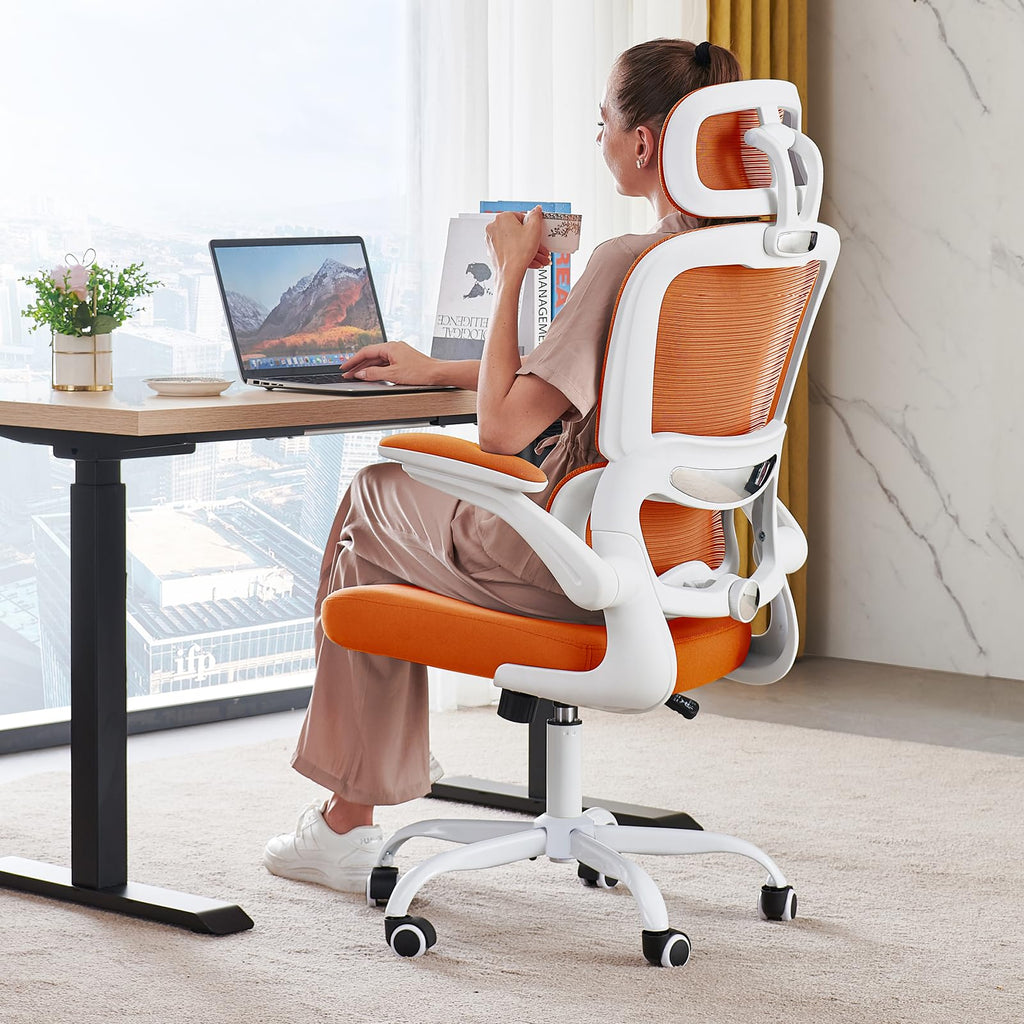 Ergonomic Office Chair with Lumbar Support D924087