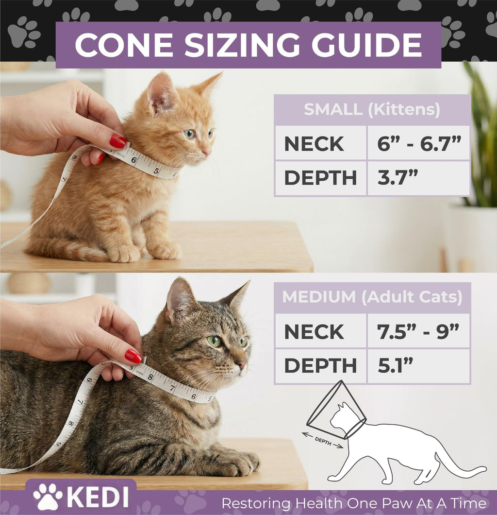 Black Medium Cat Cone Collar E124964