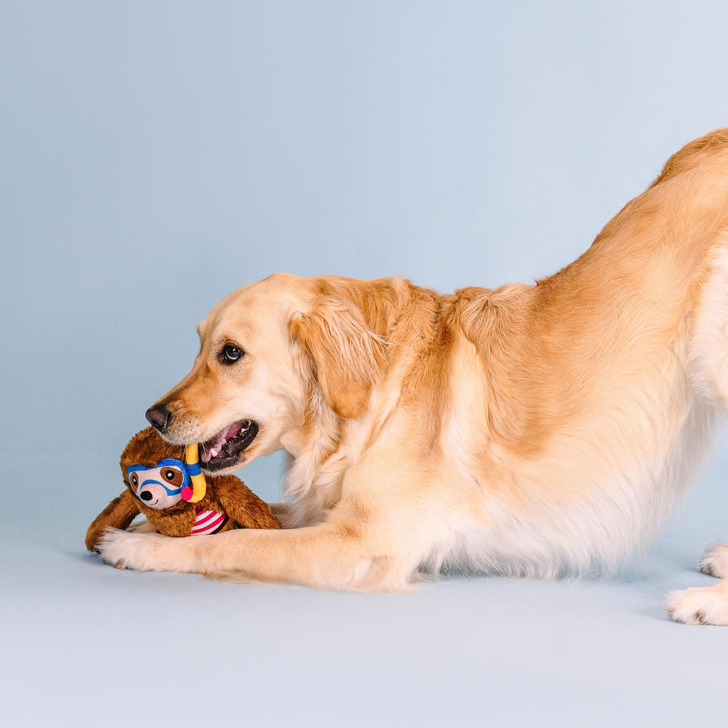 Plush Dog Toy K247306