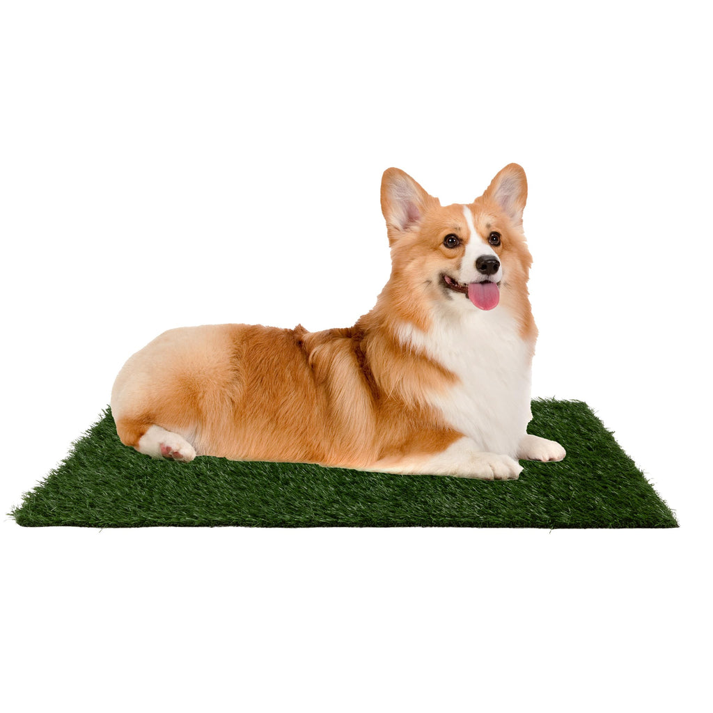 Artificial Grass Puppy Pee Pad Set of 3 W41232