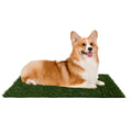 Artificial Grass Puppy Pee Pad Set of 3 W41232