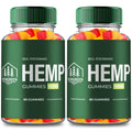 Hemp Gummies 2 Pack S328