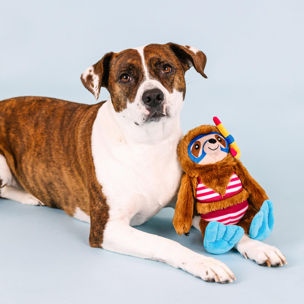 Plush Dog Toy K247306
