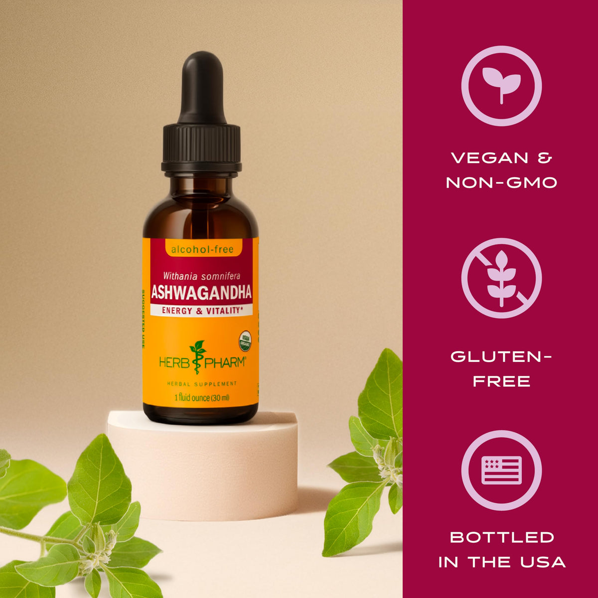 Organic Alcohol-Free Ashwagandha Liquid Extract 1 Oz T548