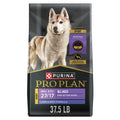 High Protein Small Bites Lamb & Rice Dog Food 37.5 Pound V43574