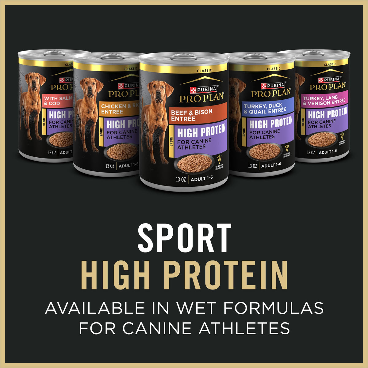 High Protein Small Bites Lamb & Rice Dog Food 37.5 Pound V43574