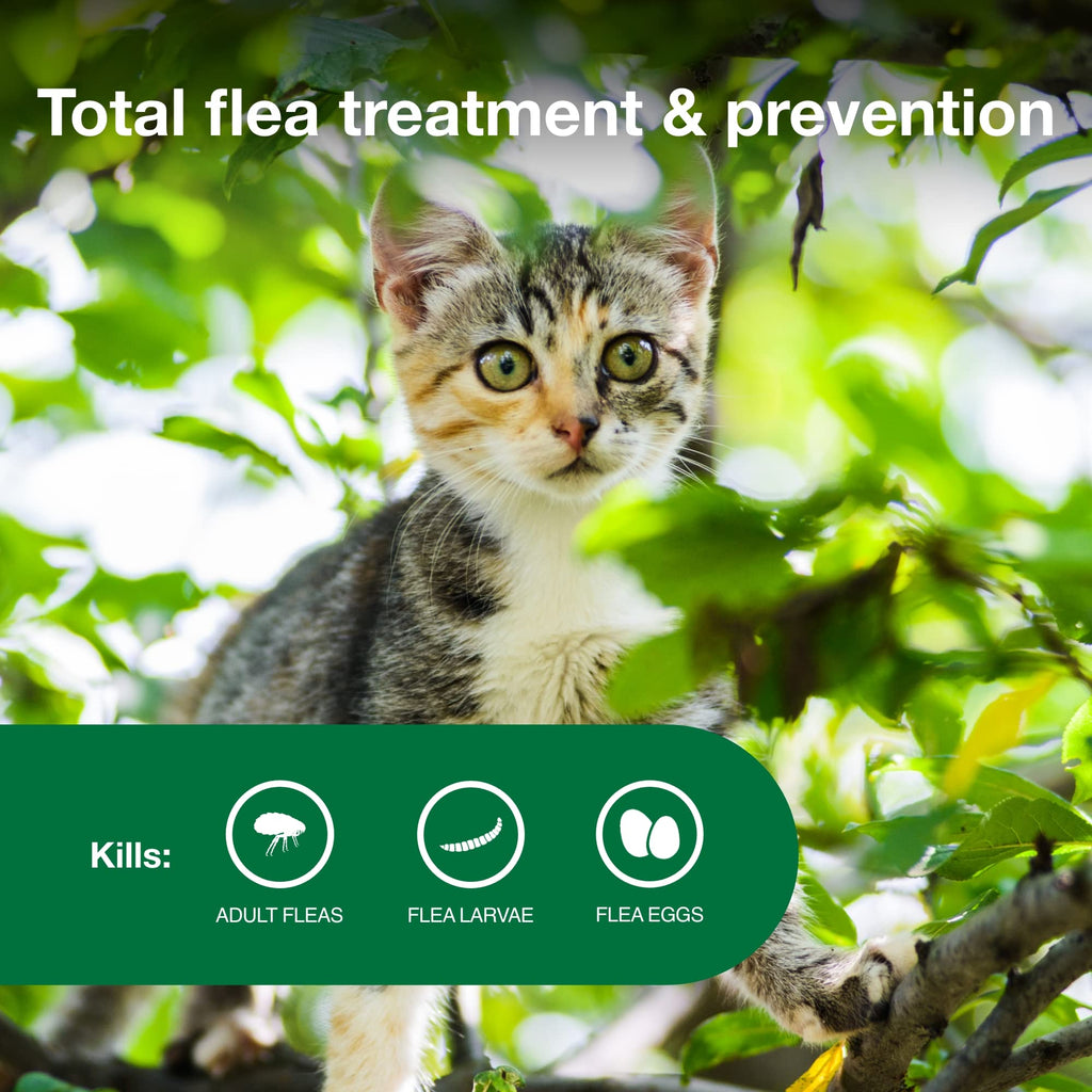 Topical Flea Treatment & Prevention 2ct O376184
