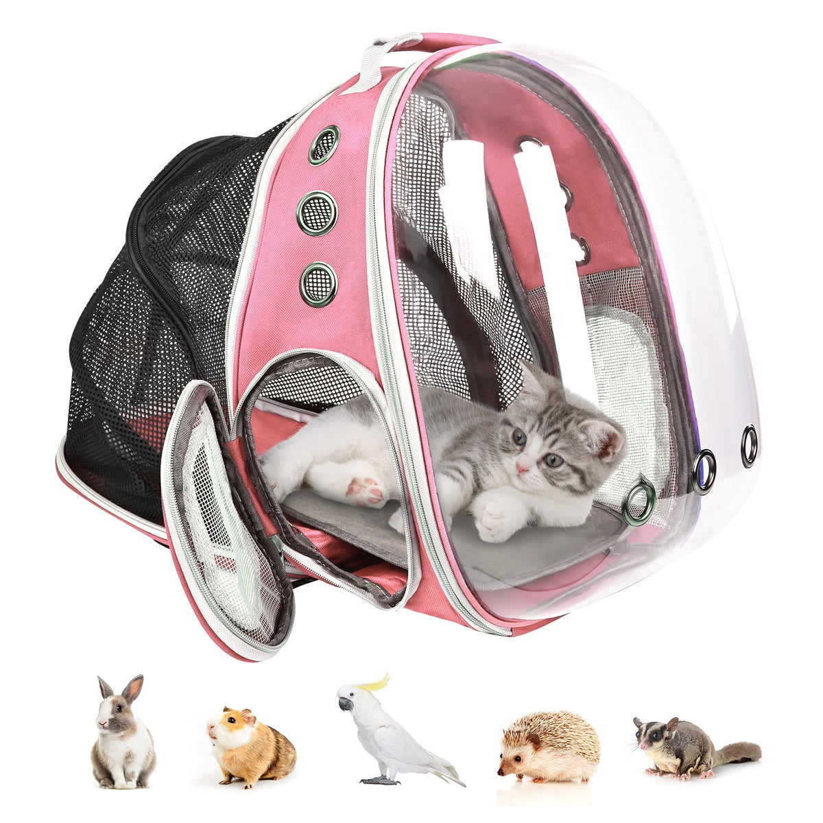Expandable Pet Backpack Carrier for Under 15 lbs (Pink) Q2281