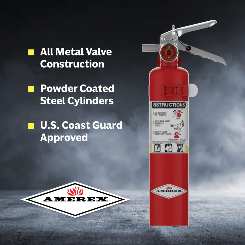 2.5 Pound ABC Dry Chemical Fire Extinguisher with Wall Bracket Q366190