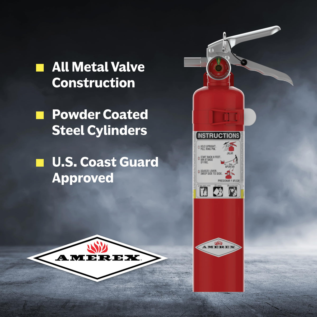 2.5 Pound ABC Dry Chemical Fire Extinguisher with Wall Bracket Q366190